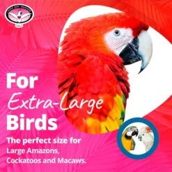 Super Bird Creations In The Groove Bird Toy, X-Large -Sunny Decor Shop 256326 PT5. AC SS1800 V1662689004