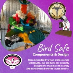Super Bird Creations In The Groove Bird Toy, X-Large -Sunny Decor Shop 256326 PT7. AC SS1800 V1685653721