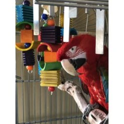 Super Bird Creations Groove Mobile Bird Toy, X-Large -Sunny Decor Shop 256328 PT3. AC SS1800 V1662671781