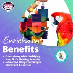 Super Bird Creations Groove Mobile Bird Toy, X-Large -Sunny Decor Shop 256328 PT4. AC SS1800 V1662671535