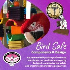 Super Bird Creations Groove Mobile Bird Toy, X-Large -Sunny Decor Shop 256328 PT7. AC SS1800 V1685653252