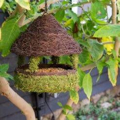 Galapagos Gazebo Woven Birdhouse, Fresh Green 6 Galapagos Gazebo Woven Birdhouse, Fresh Green -Sunny Decor Shop 257670 PT1. AC SS1800 V1684415994