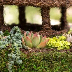 Galapagos Plantable Gazebo Birdhouse, Fresh Green -Sunny Decor Shop 257672 PT3. AC SS1800 V1684404088