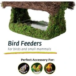 Galapagos Porch Birdhouse, Fresh Green -Sunny Decor Shop 257674 PT4. AC SS1800 V1684409976