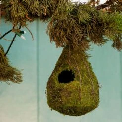 Galapagos Raindrop Woven Birdhouse, Fresh Green -Sunny Decor Shop 257676 PT5. AC SS1800 V1671809005