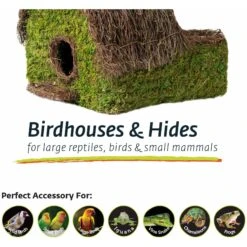 Galapagos Plantable Maison Birdhouse, Fresh Green -Sunny Decor Shop 257682 PT4. AC SS1800 V1684413172