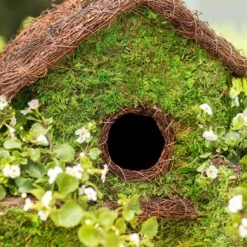 Galapagos Plantable Maison Patio Birdhouse, Fresh Green -Sunny Decor Shop 257684 PT3. AC SS1800 V1684411920