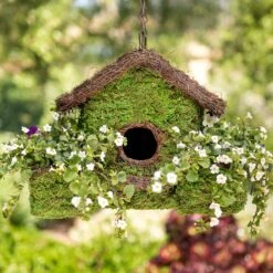 Galapagos Plantable Maison Patio Birdhouse, Fresh Green -Sunny Decor Shop 257684 PT4. AC SS1800 V1684406331
