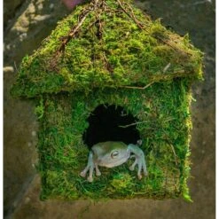 Galapagos Shack Deco Birdhouse, Fresh Green -Sunny Decor Shop 257688 PT2. AC SS1800 V1669387296