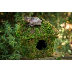 Galapagos Shack Deco Birdhouse, Fresh Green -Sunny Decor Shop 257688 PT3. AC SS1800 V1669394033
