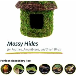 Galapagos Bungalow Deco Birdhouse, Fresh Green -Sunny Decor Shop 257690 PT3. AC SS1800 V1684417547