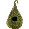Galapagos Raindrop Deco Birdhouse, Fresh Green -Sunny Decor Shop 257692 MAIN. AC SS1800 V1684415672