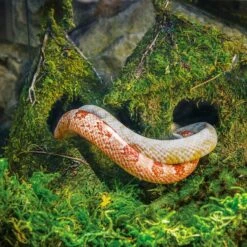 Galapagos Raindrop Deco Birdhouse, Fresh Green -Sunny Decor Shop 257692 PT1. AC SS1800 V1684415673