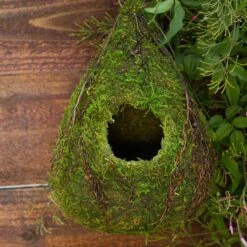 Galapagos Raindrop Deco Birdhouse, Fresh Green -Sunny Decor Shop 257692 PT2. AC SS1800 V1684412636