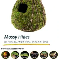 Galapagos Raindrop Deco Birdhouse, Fresh Green -Sunny Decor Shop 257692 PT3. AC SS1800 V1684407405