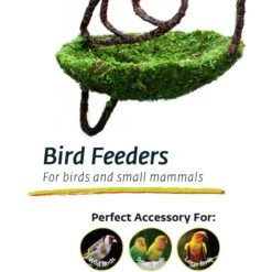 Galapagos Woven Bird Feeder, Dove, Fresh Green 11 Galapagos Woven Bird Feeder, Dove, Fresh Green -Sunny Decor Shop 257697 PT4. AC SS1800 V1684411830