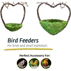 Galapagos Woven Bird Feeder, Sparrow, Fresh Green -Sunny Decor Shop 257699 PT4. AC SS1800 V1684406271