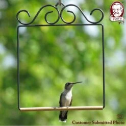 Pop's Birding Company The Original Bird Swing -Sunny Decor Shop 269420 PT2. AC SS1800 V1633558334