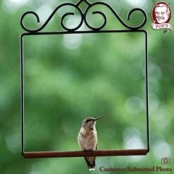 Pop's Birding Company The Original Bird Swing -Sunny Decor Shop 269420 PT3. AC SS1800 V1633556482
