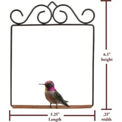 Pop's Birding Company The Original Bird Swing -Sunny Decor Shop 269420 PT4. AC SS1800 V1633557752