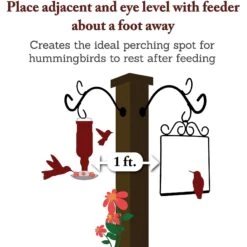 Pop's Birding Company The Original Bird Swing -Sunny Decor Shop 269420 PT6. AC SS1800 V1633561010