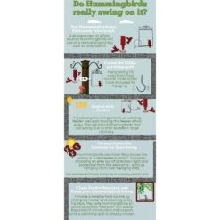 Pop's Birding Company The Original Bird Swing -Sunny Decor Shop 269420 PT8. AC SS1800 V1633573323