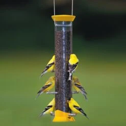 Droll Yankees New Generation Finch Flocker Nyjer Seed Bird Feeder -Sunny Decor Shop 272816 PT6. AC SS1800 V1613176342