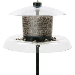 Droll Yankees Jagunda Squirrel Proof Bird Feeder, 18.5-in -Sunny Decor Shop 272820 PT2. AC SS1800 V1613178384