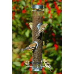 Droll Yankees Ring Pull Advantage Nyjer Seed Finch Bird Feeder, 16-in -Sunny Decor Shop 272826 PT3. AC SS1800 V1613176649