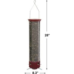 Droll Yankees Yankee Dipper Collapsing Straight Perch Bird Feeder, 21-in -Sunny Decor Shop 272828 PT1. AC SS1800 V1613175688