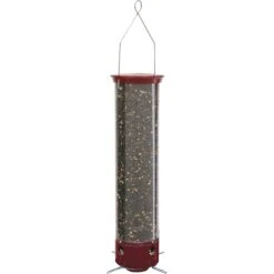 Droll Yankees Yankee Dipper Collapsing Straight Perch Bird Feeder, 21-in -Sunny Decor Shop 272828 PT3. AC SS1800 V1613176887