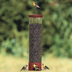 Droll Yankees Yankee Dipper Collapsing Straight Perch Bird Feeder, 21-in -Sunny Decor Shop 272828 PT4. AC SS1800 V1613176294