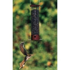 Droll Yankees Yankee Dipper Collapsing Straight Perch Bird Feeder, 21-in -Sunny Decor Shop 272828 PT5. AC SS1800 V1613174181