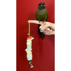 Polly's Pet Products Cuttlebone Secrets Bird Perch 9 Polly's Pet Products Cuttlebone Secrets Bird Perch -Sunny Decor Shop 285397 PT2. AC SS1800 V1618003305