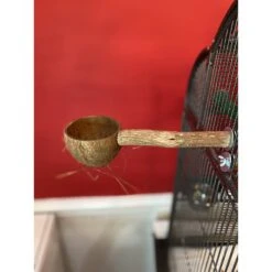 Polly's Pet Products Coconut Cup Bird Perch -Sunny Decor Shop 285403 PT2. AC SS1800 V1618012636