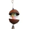 Polly's Pet Products Coconut Hut Bird Perch -Sunny Decor Shop 285407 MAIN. AC SS1800 V1678138902