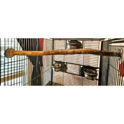 Polly's Pet Products Hardwood Bird Perch -Sunny Decor Shop 285420 PT1. AC SS1800 V1618003611