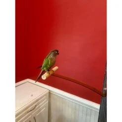 Polly's Pet Products Dancing Bird Perch 7 Polly's Pet Products Dancing Bird Perch -Sunny Decor Shop 285425 PT1. AC SS1800 V1618006022