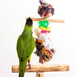Penn-Plax Bird Life Combo Kabob Bird Toy -Sunny Decor Shop 286170 PT2. AC SS1800 V1683919136