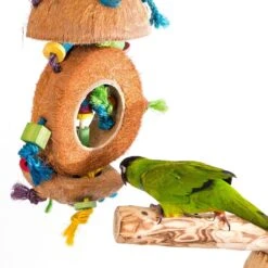 Penn-Plax Bird Life Coconut Kabob Bird Toy -Sunny Decor Shop 286177 PT2. AC SS1800 V1683919136