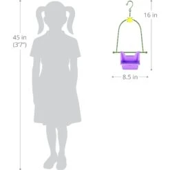 Exhart 2-Piece Hanging Basket Bird Feeder -Sunny Decor Shop 300124 PT3. AC SS1800 V1694547152