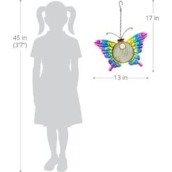 Exhart Solar Hanging Metal Mesh Butterfly Bird Feeder -Sunny Decor Shop 300139 PT3. AC SS1800 V1628910098