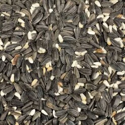 Colorful Companions Cardinal Blend Premium Wild Bird Food, 20-lb Bag -Sunny Decor Shop 301579 PT1. AC SS1800 V1623125844