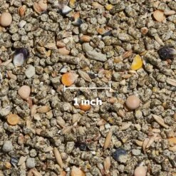 Hen Up Scratch Grains Organic Chicken Food, 25-lb Bag & Hen Up Layer Pellets Organic Chicken Food, 25-lb Bag 15 Hen Up Scratch Grains Organic Chicken Food, 25-lb Bag & Hen Up Layer Pellets Organic Chicken Food, 25-lb Bag -Sunny Decor Shop 301964 PT6. AC SS1800 V1622834546