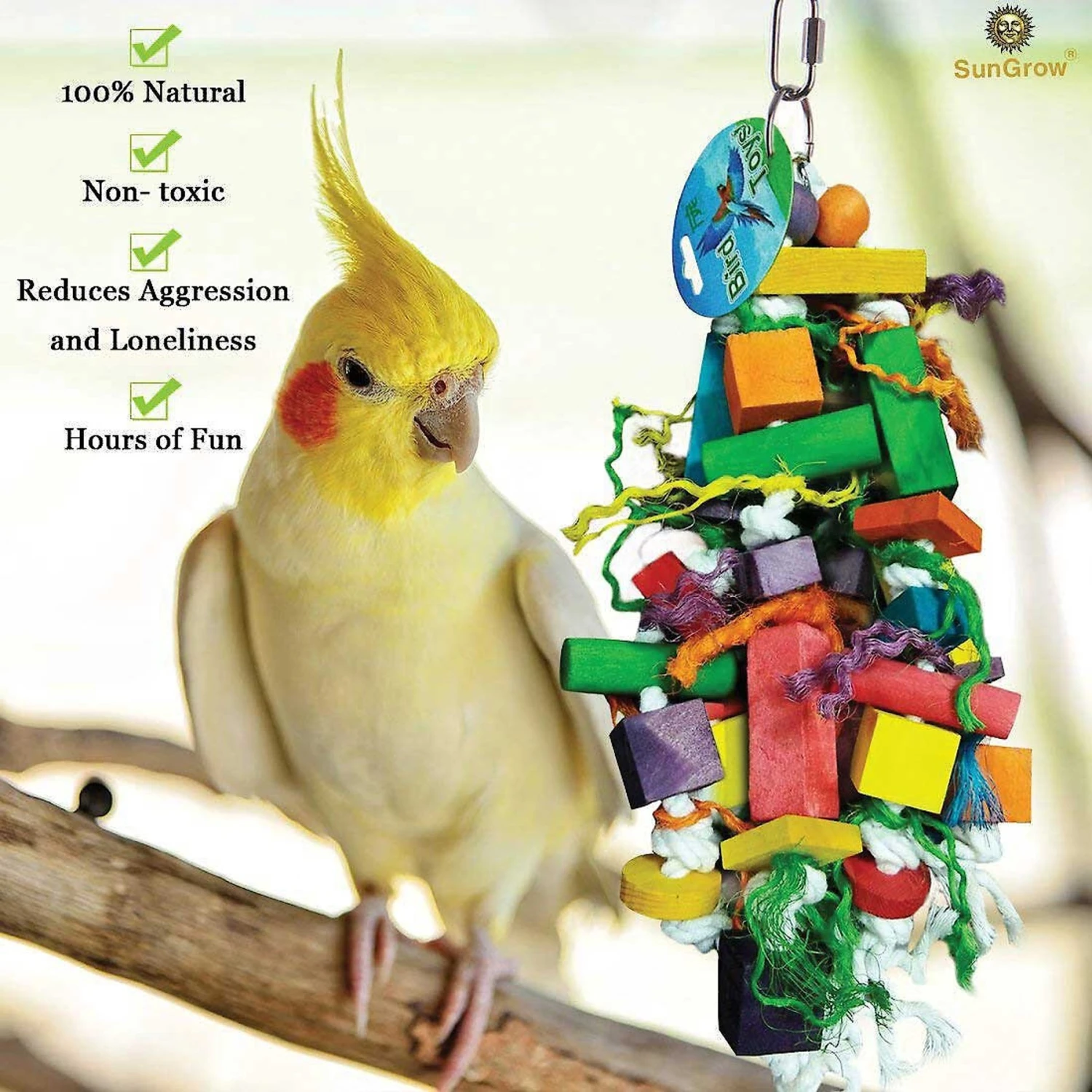 Higgins Vita Seed California Blend Parrot Food & SunGrow Bird Chew Toy, Medium & Large Parrot Foraging Blocks For Cage 8 Higgins Vita Seed California Blend Parrot Food & SunGrow Bird Chew Toy, Medium & Large Parrot Foraging Blocks For Cage - Image 6