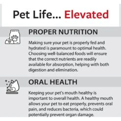 Caitec Featherland Paradise Rainbow Stack Bird Toy -Sunny Decor Shop 311534 PT8. AC SS1800 V1669660909