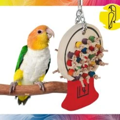 Caitec Featherland Paradise Gumball Machine Bird Toy -Sunny Decor Shop 311540 PT1. AC SS1800 V1669660912