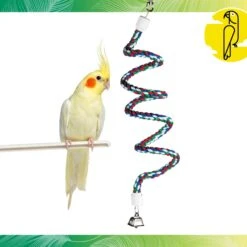 Caitec Featherland Paradise Cotton Bungie Bird Toy -Sunny Decor Shop 311542 PT1. AC SS1800 V1669673235