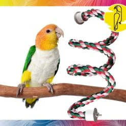 Caitec Featherland Paradise Curled Cotton Perch Bird Toy -Sunny Decor Shop 311552 PT1. AC SS1800 V1668531343
