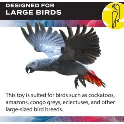 Caitec Featherland Paradise Triangle Cotton Swing Bird Toy -Sunny Decor Shop 311556 PT3. AC SS1800 V1668531818